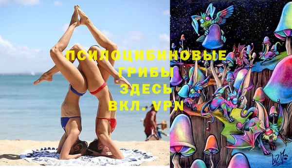 бутират Алзамай